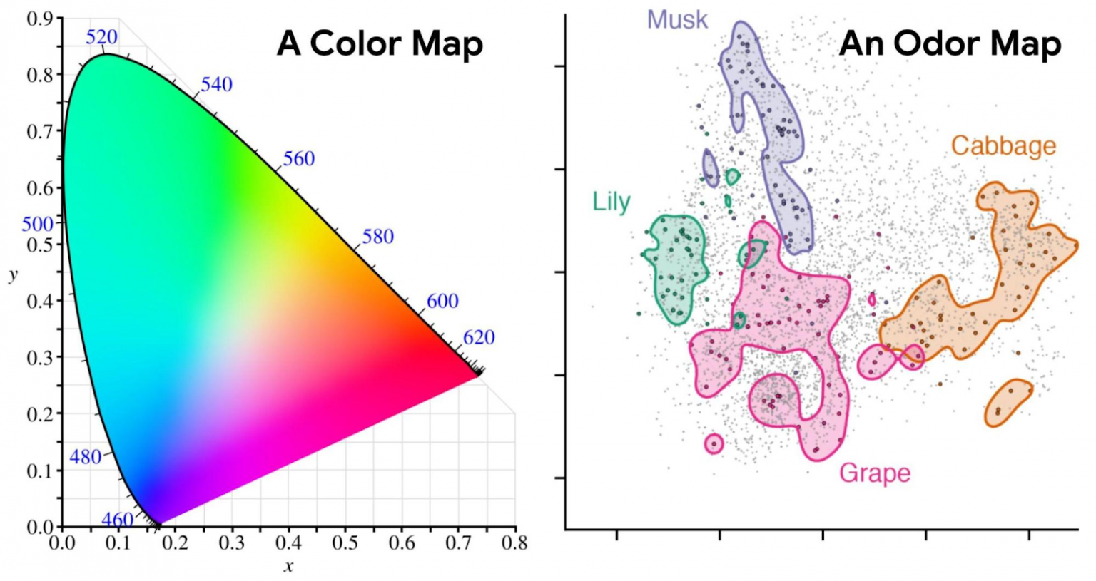 Color Map and Odor Map