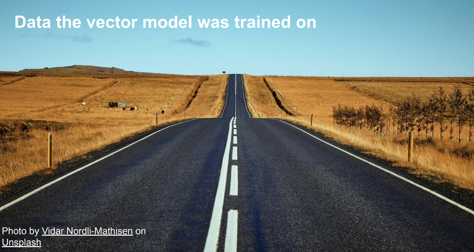 Data the vector Model
