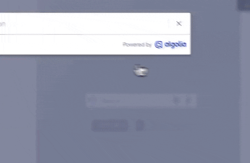 new-docsearch.gif