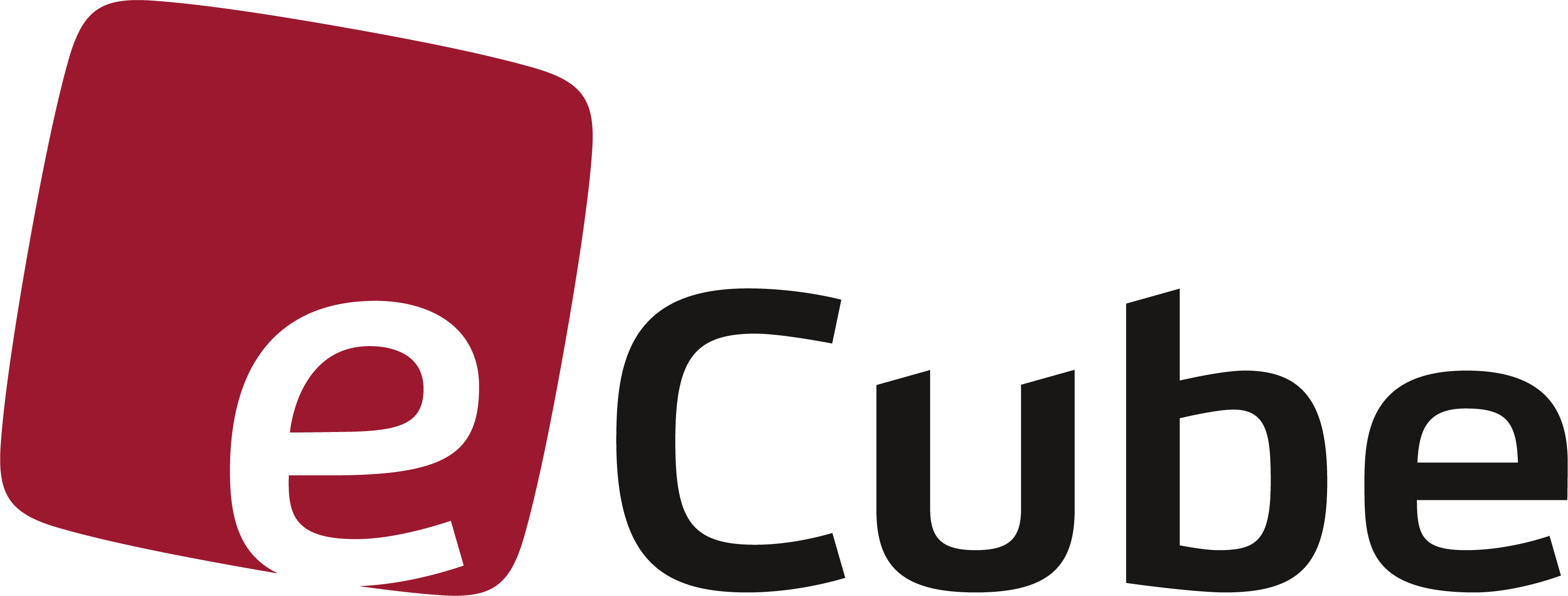 Partnerlogo