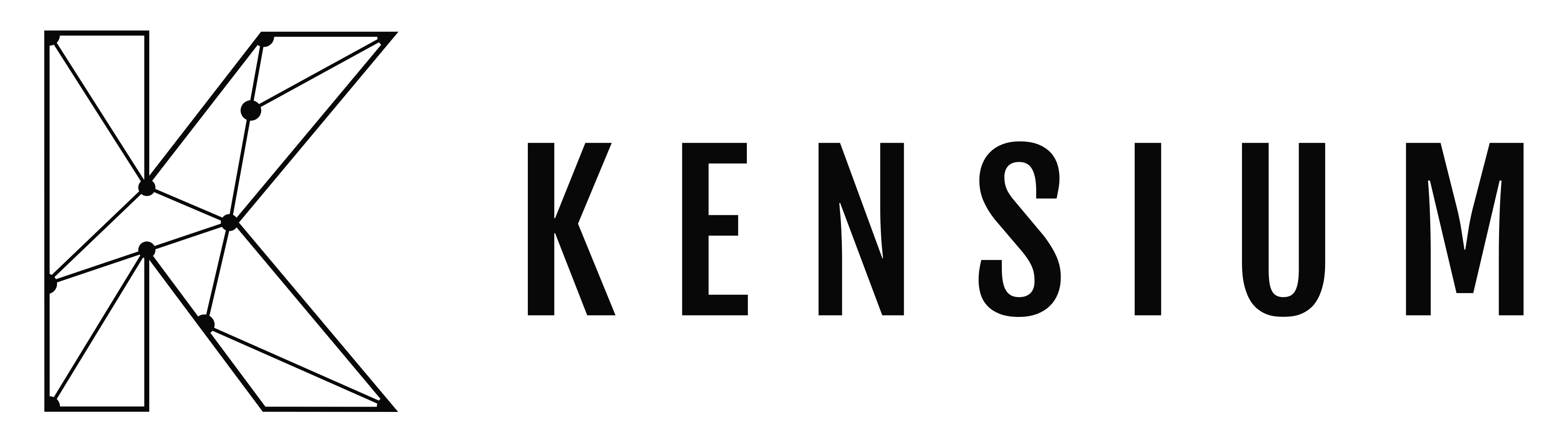 Partnerlogo